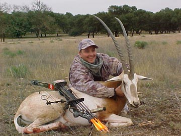 world record oryx