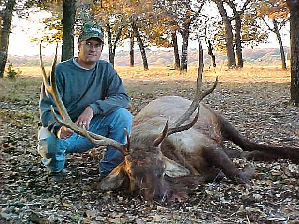 Elk at Black Eagle Ranch