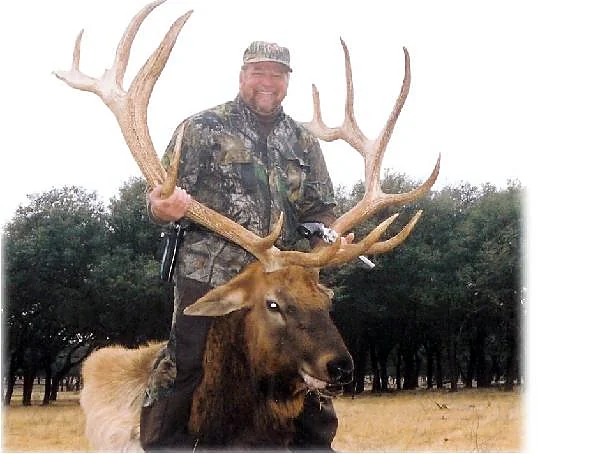 Elk at Black Eagle Ranch