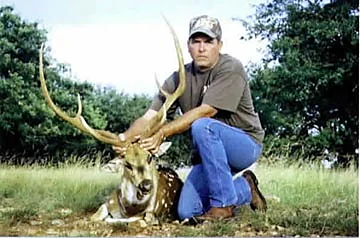 Axis Deer at Black Eagle Ranch