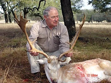 Fallow Deer at Black Eagle Ranch