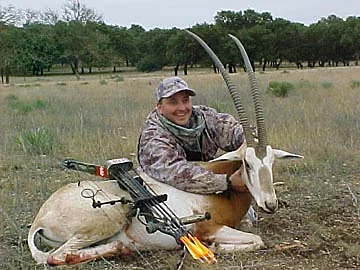 Scimitar-Horned Oryx at Black Eagle Ranch