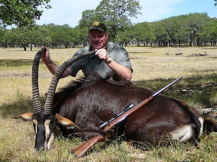 Sable Antelope at Black Eagle Ranch