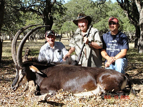 Sable Antelope at Black Eagle Ranch