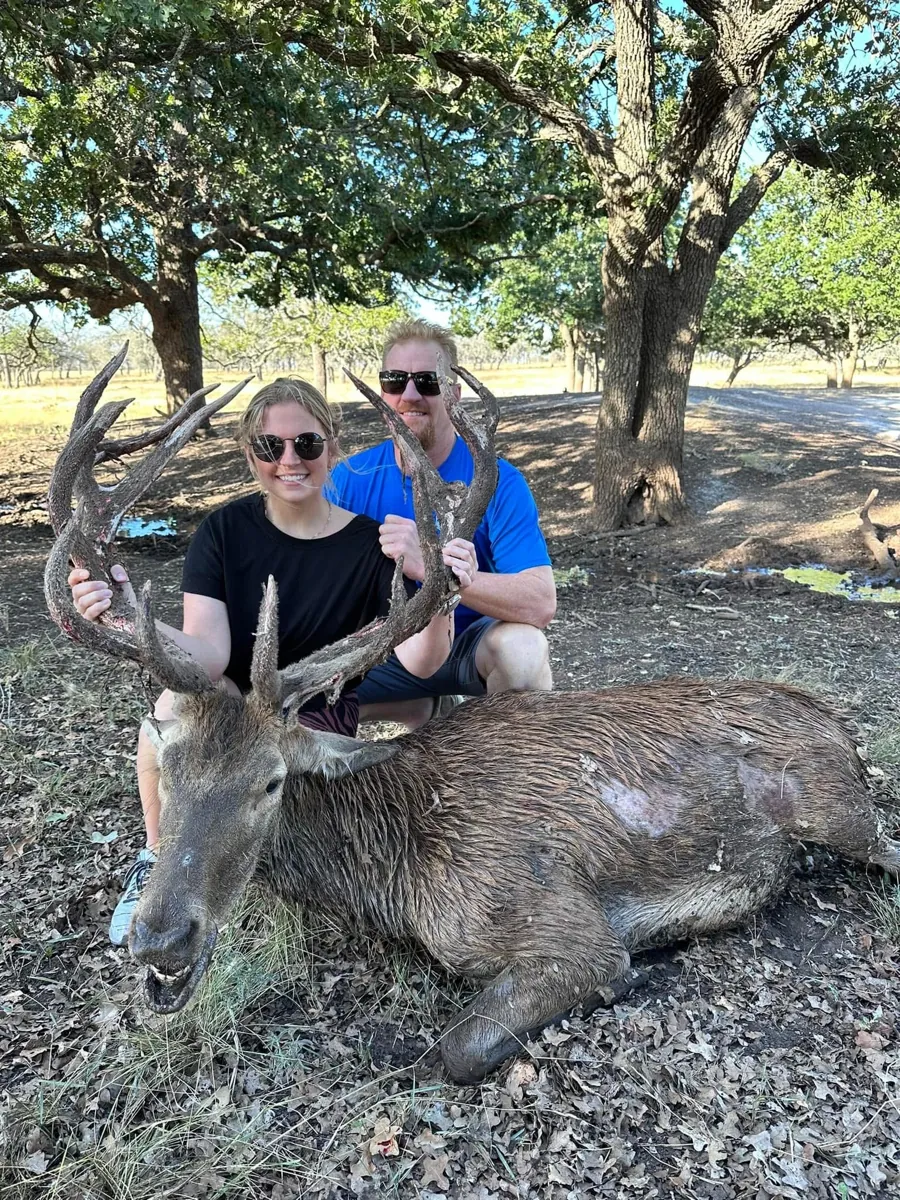 Red Stag at Black Eagle Ranch