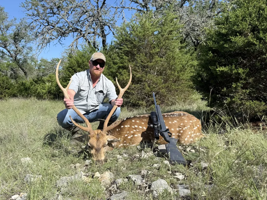 Axis Deer taken at Black Eagle Ranch